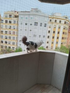 Spider ya tiene su propia red