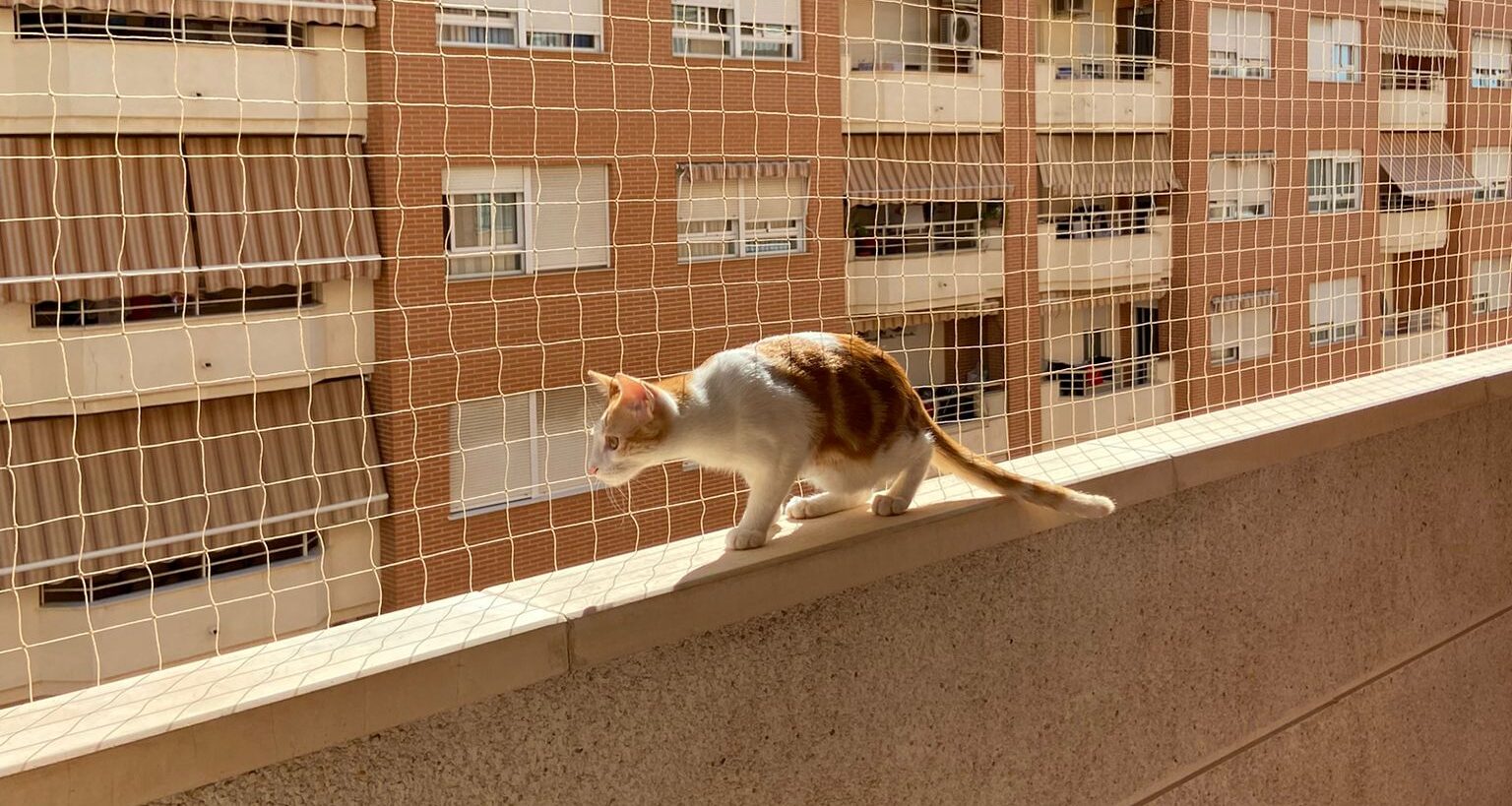 Red de seguridad para gatos para balcón, red de seguridad para ventanas,  protección anticaídas para mascotas, malla de protección para ventanas de