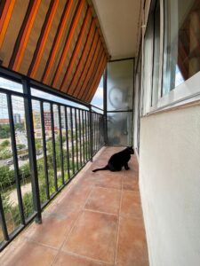 Instalación de redes estándar en un balcón para 3 gatos que viven en la vivienda 003