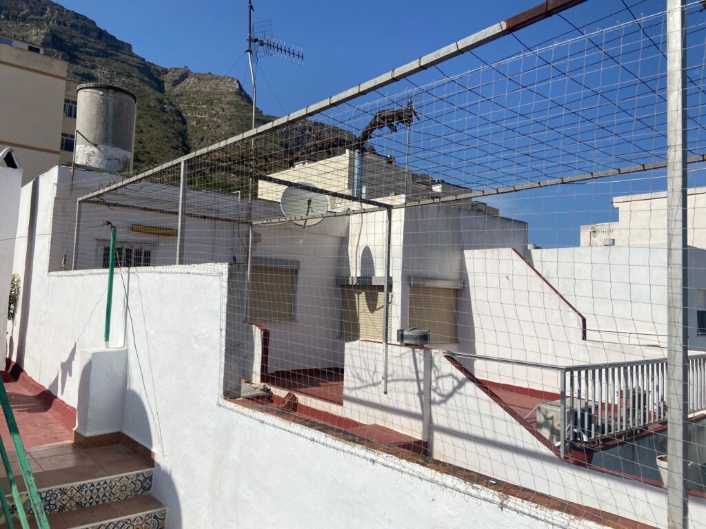 Mega instalación de red para gatos 🐱 ampliación del muro de la terraza con mástiles y red