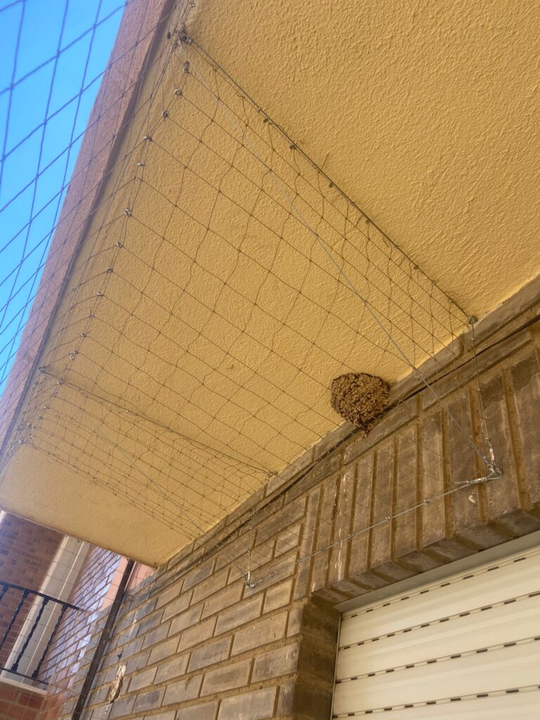 Colocación de red en balcón con hueco para entrada de golondrinas